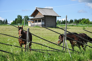 Similar image 21055539