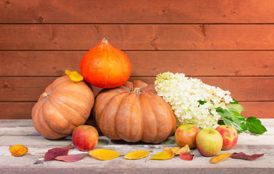 Similar image 21026670