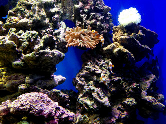 Similar image 21056062