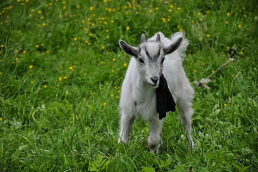 Similar image 21056100