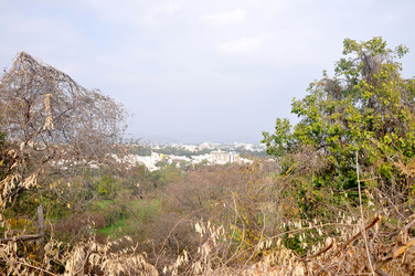 Similar image 21056634