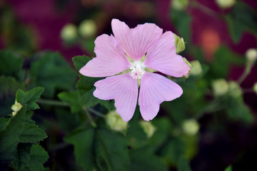 Similar image 21055551