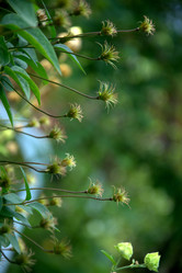 Similar image 21055983