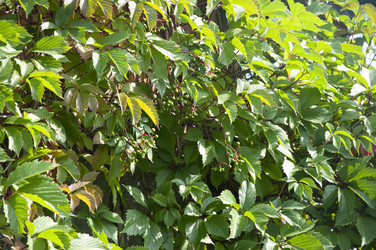 Similar image 21055987