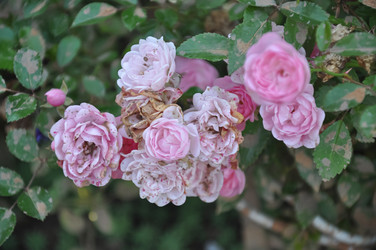 Similar image 21055990