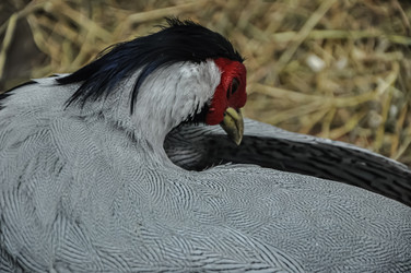 Similar image 21056051