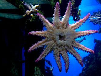 Similar image 21056053