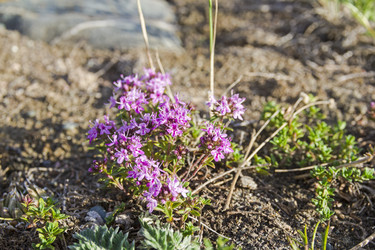 Similar image 21026727