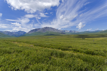 Similar image 21026730