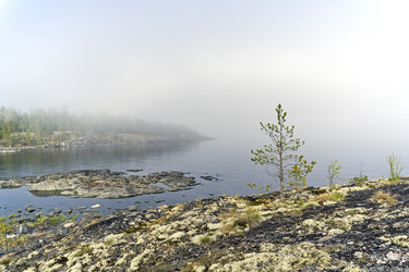 Similar image 21026732