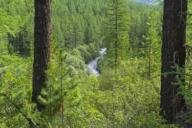 Similar image 21026734