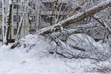 Similar image 21026740