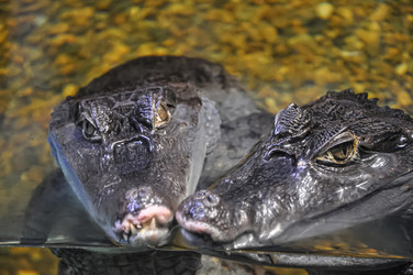 Similar image 21056651