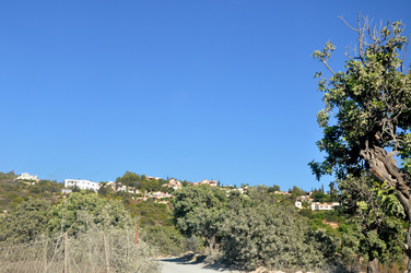 Similar image 21056652