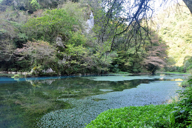 Similar image 21056654