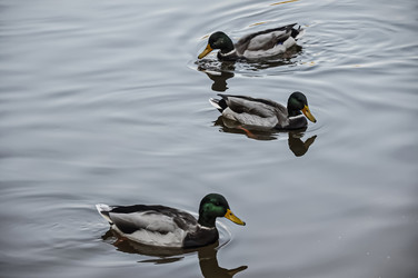 Similar image 21056657