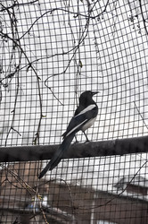 Similar image 21056658