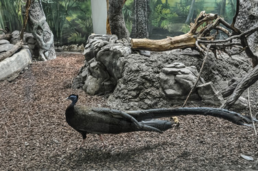 Similar image 21056661