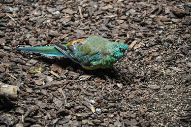 Similar image 21056667