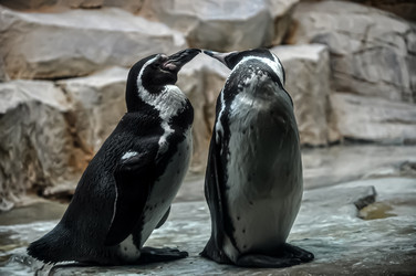 Similar image 21056668