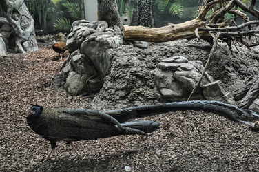 Similar image 21056672