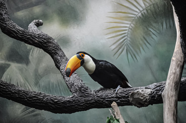 Similar image 21056673