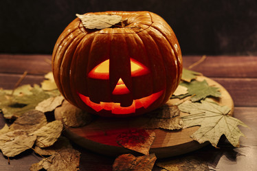 Similar image 21058317