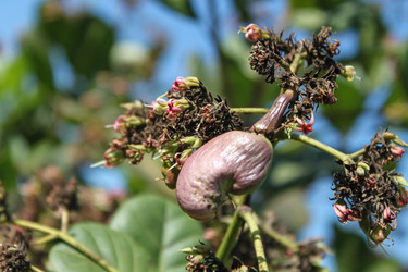 Similar image 21056675