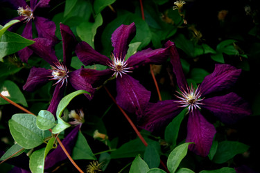 Similar image 21056681