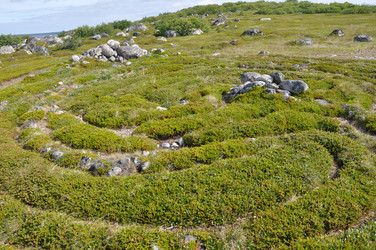 Similar image 21056689