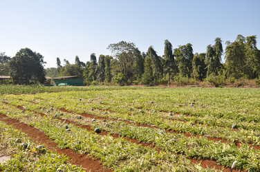 Similar image 21055688