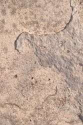 Similar image 21055690