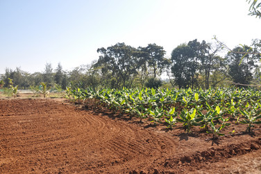 Similar image 21055945