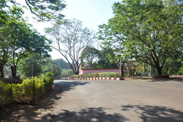 Similar image 21055947