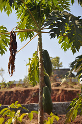 Similar image 21055948