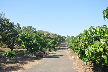 Similar image 21055950