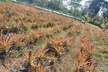 Similar image 21055951