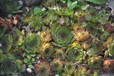 Similar image 21056002