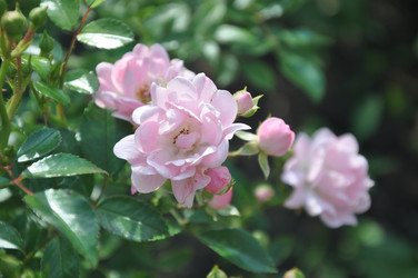 Similar image 21056003