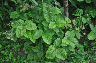 Similar image 21056005