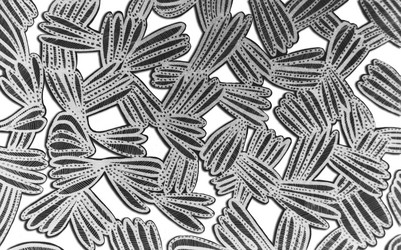 Similar image 21055692