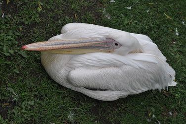 Similar image 21056011