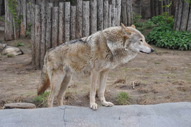 Similar image 21056080