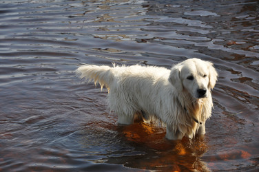 Similar image 21056123