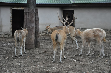 Similar image 21056124