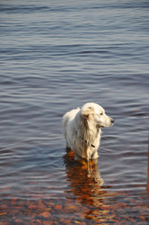 Similar image 21056125