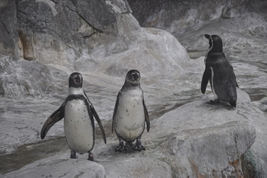 Similar image 21055956