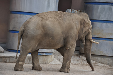 Similar image 21055958