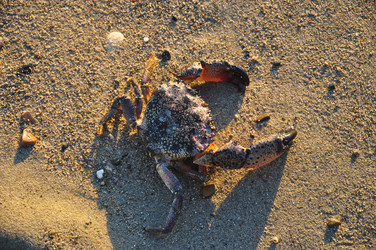 Similar image 21056016