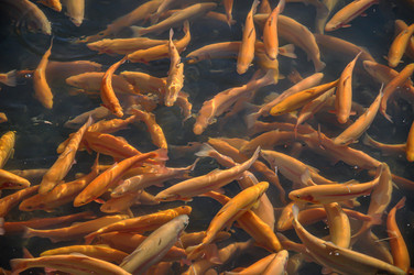 Similar image 21056096